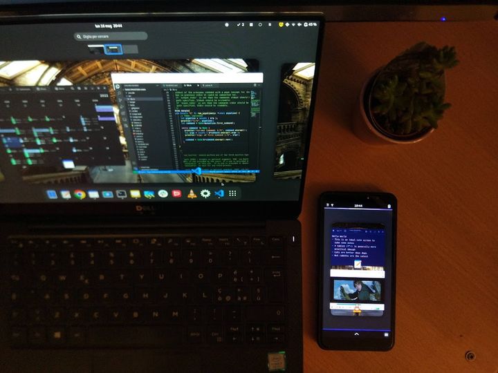 Using a Linux phone as a secondary monitor